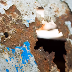 Rusty Fender - 2012