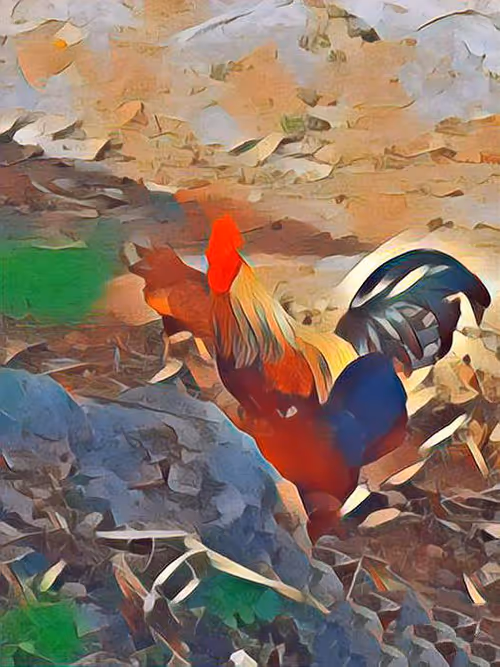 Item #81269833061274051173789884418282317830923519221172308843662164516455445430273 Media