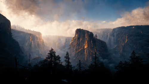 RichBuffalo Collection