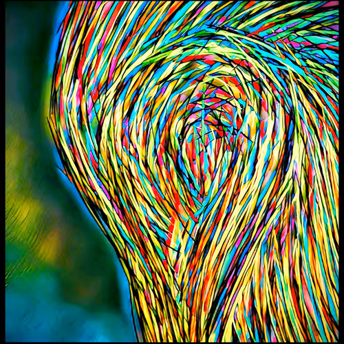 Spacepolygons Harlequin Series