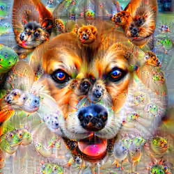 Iconic Doge (What's on my mind)