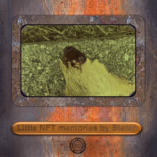 Item #59639502111874129208729441431438689936158088081588837837760272367119142748161 Media