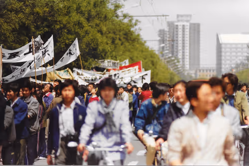 Item #29461927670043005861463006077700585730807783425921494929544881398868307083265 Media