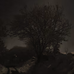 Full moon in snow