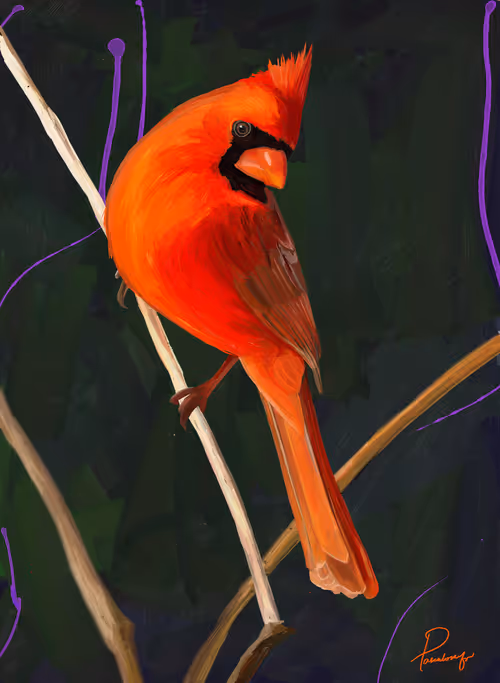 Item #62159143342418403214073554141222043396386162616902165100390772143189571665921 Media