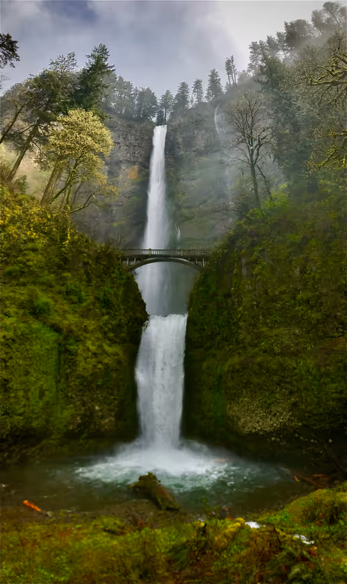 Item #83408267508132833456682495211820804283305655612987816864939849110838239559681 Media