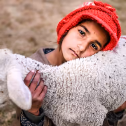Glory of kashmir #2