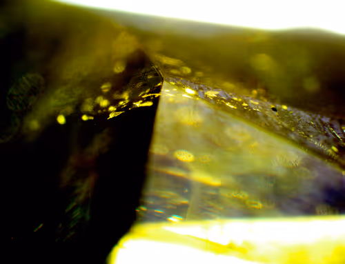 Item #71646257518770613568983710813551014237803002136866425209291834499084075401217 Media