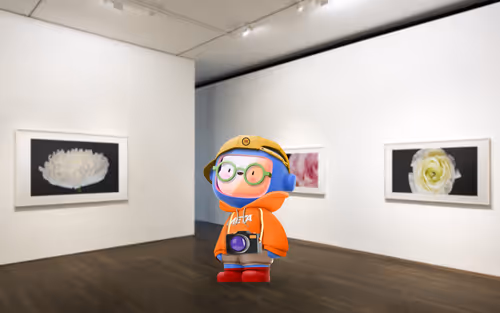 Item #88889783997670866790284592339831426668038753505317057193077326347778979266561 Media