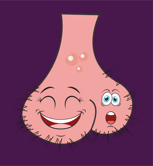 Item #22793047471806318065020766672709763262679883798276267629942526582642177998849 Media