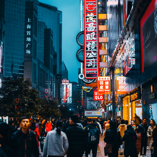 NicoY1124 Collection