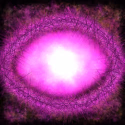 Vision Twelve
