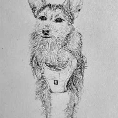 Other people's stuff