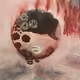 6049598337631841724130910391698529407950588402400538952572283637178130497537