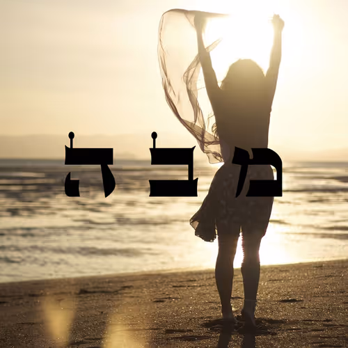 Item #60261209402415139582755570421670089329548312864668202741056927087311991078913 Media