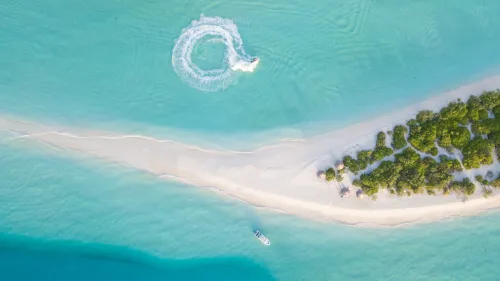 Item #96009835368739005477068587790810150579316822021707440343848028129439688687617 Media