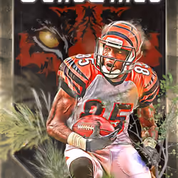 Chad Johnson 