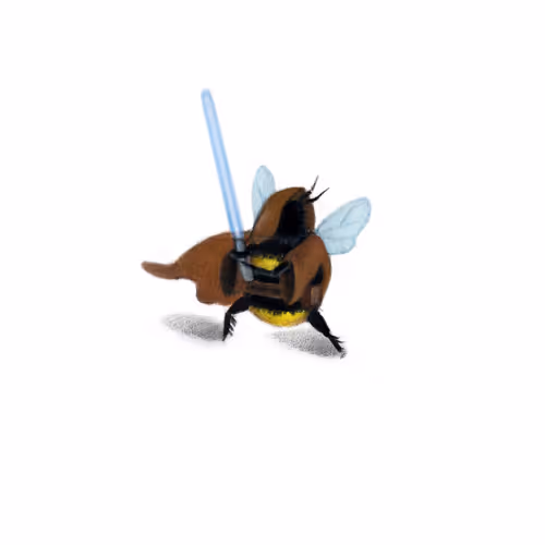 Obeewon Kenobee #4/5