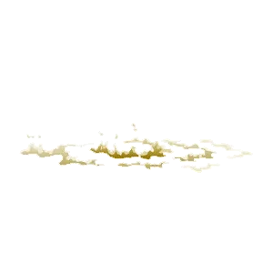 Item #82128306357763875677992979084533453962815137074133455862851432438510554972161 Media