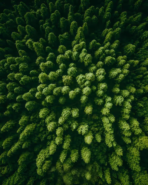 Item #76182420435474433030175106925333141340122143524658153810664851466962358763521 Media