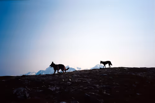 Item #86204936525623062478772312076709802278598486618652010465124009088906191437825 Media