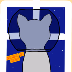 Crypto Cat Future Promise