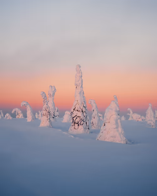 Item #85137439897558800446681939847979956921112818192745958846838339010636504104961 Media