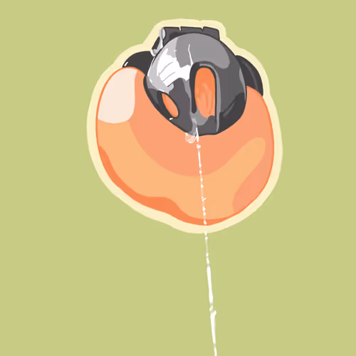 62746048617655971481923375859107550905114216019417971752382086417988718690305