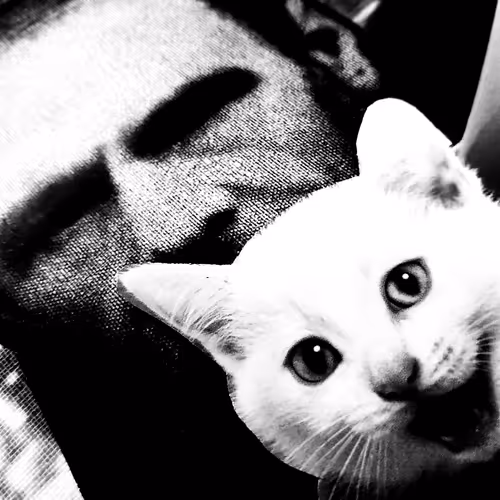 4747115153065902387790593868107453782499677024781155622119190144533055668225