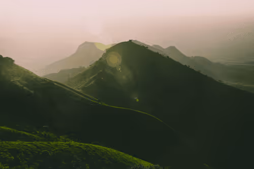 zollz Collection - old