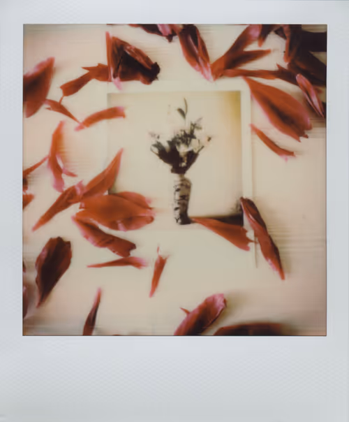 Item #24326241123829317612575481076654588048971431534812965985339390045893697732609 Media