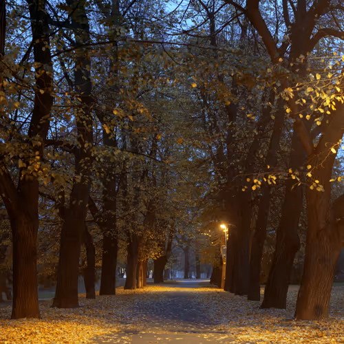 Item #30121090533068634730460792685537461567950127940617948076373458105758681923585 Media