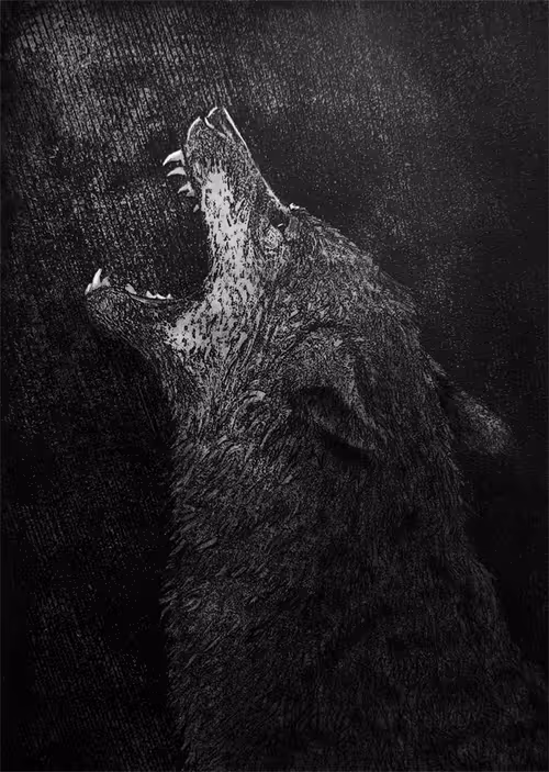 Item #46713762760606173074416670023083938120108068065182924586479083620100823056399 Media