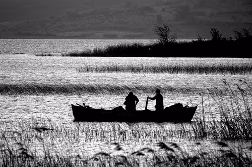 Fishing Families
