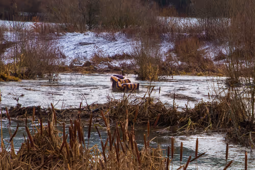 Item #88837150709499798352031986971363165703044907958800399059978422686439505395713 Media