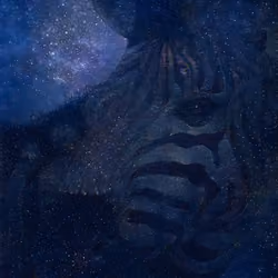 Zebrastrology