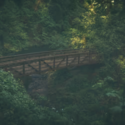 #34. Crossings