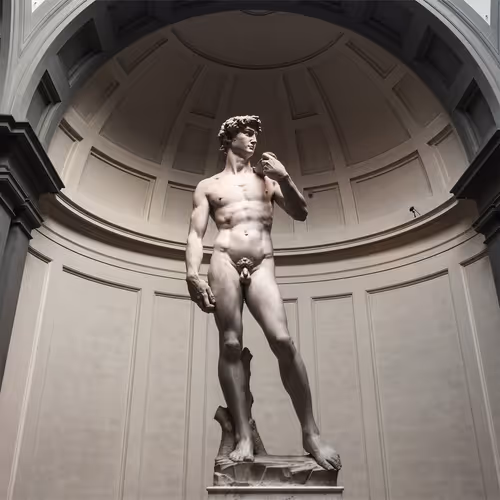 David