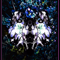 Gentle Shadow