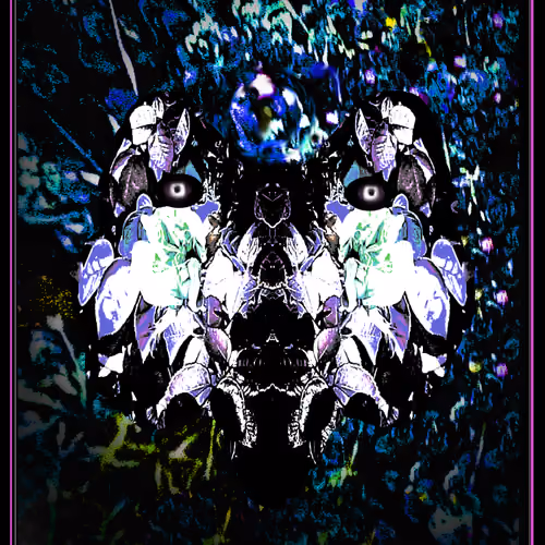 Gentle Shadow