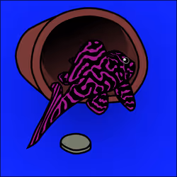 81664083123670143983968740139941474364733981378414170565535213019967902449665