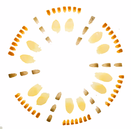 Item #111264774895172989553606282022194155892745764425417346937131400199313461084161 Media