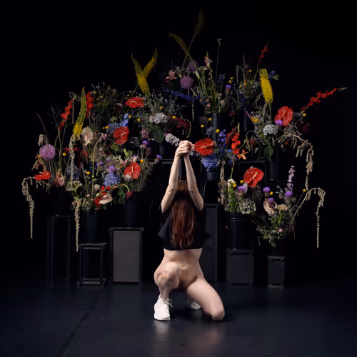 29225512278462627521798648337765154625875213490195303772458487981249434484737