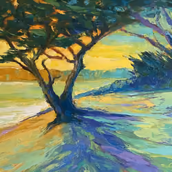 Carmel Beach Cypress