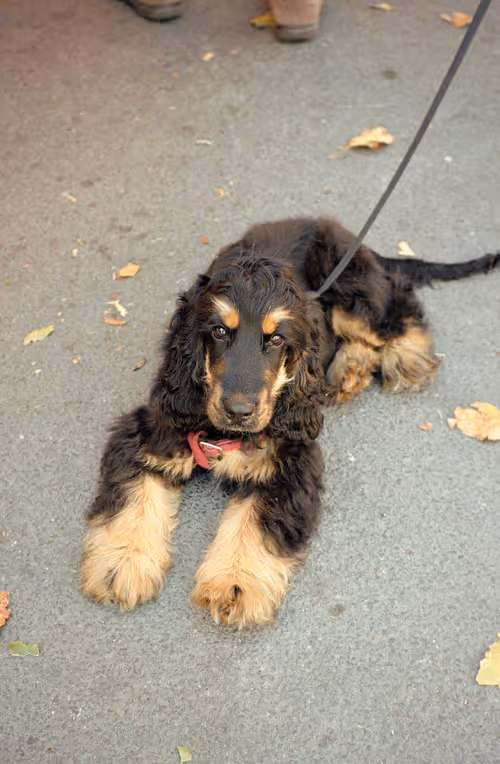 Item #64073144841343757614716512507723910140908511863865217898604629613811595214849 Media