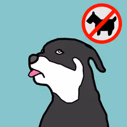 CryptoSami #227