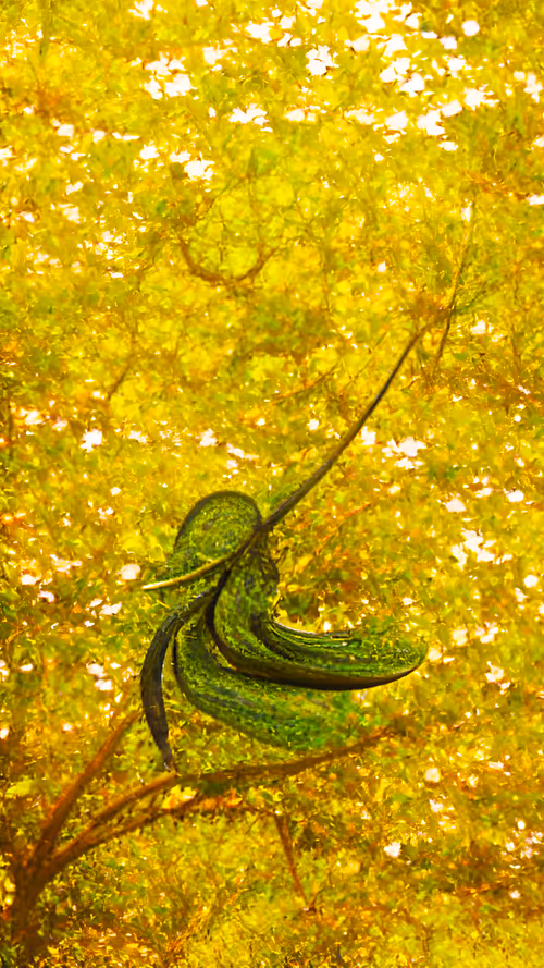 Item #30620560946829215368081876769066015045672865411953845934377290546005302837249 Media