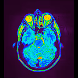 64162533542198579898252916190583583845604629893829087458582976147114250207233