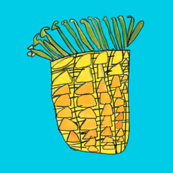 pineapple