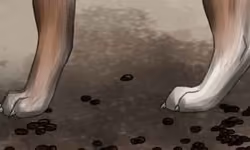 Coffee Beans #5